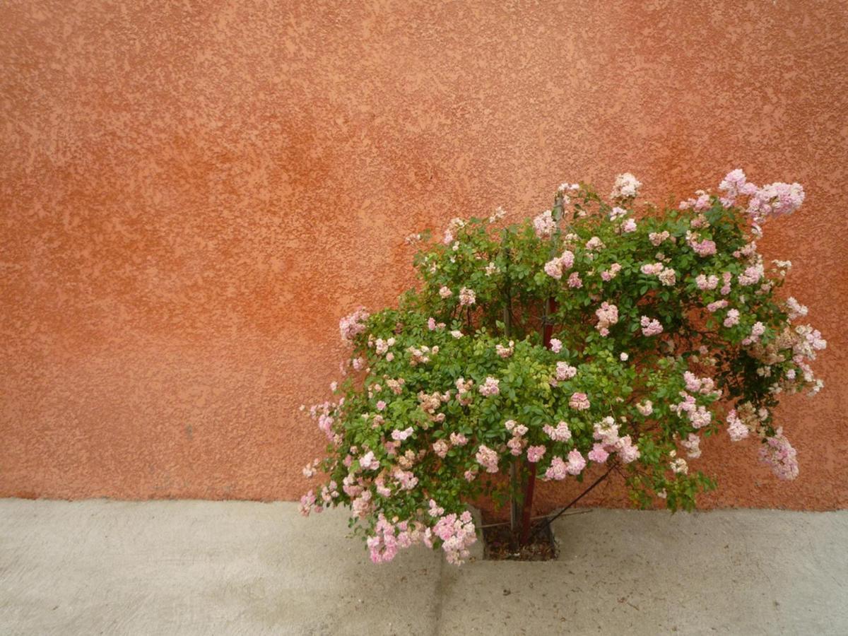 Charming And Quaint 2-Bed House In Marseillan Villa Екстериор снимка